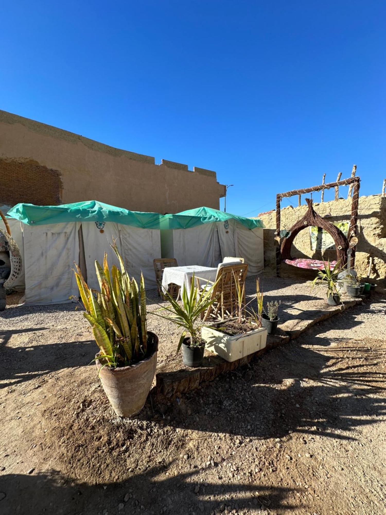 Muhra Camp Siwa Hotel Siwa Oasis Exterior foto
